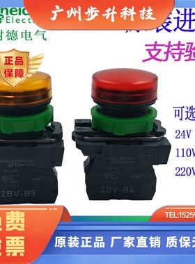 施耐德指示灯XB5AVG1 XB5AVG3 XB5AVG4 XB5AVG5 XB5AVG6 全新110V