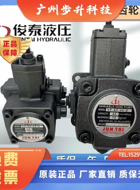 俊泰JUNLINGPAI油泵JUNTA叶片泵VP-SF-12/15/20/30/40-D VP-20D