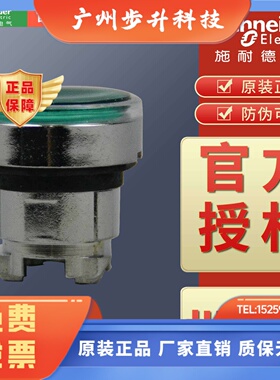 带灯平头按钮头ZB4BW313/ZB4BW333/ZB4BW343/ZB4BW353/ZB4BW363