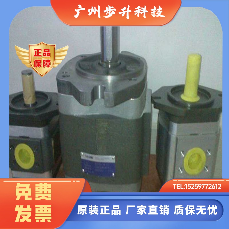 ECKERLE艾可勒注塑折弯机油泵液压齿轮泵EIPS2/EIPC3/EIPC5/EIPC6