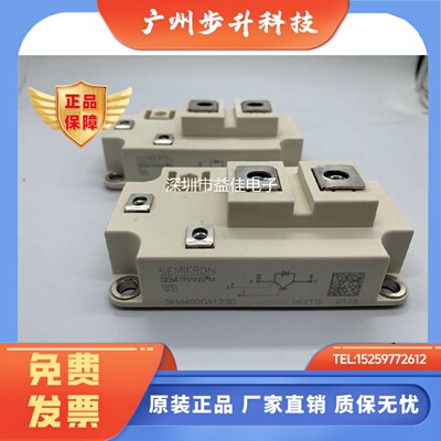 SKM800GA125D SKM600GA126D SKM400GA123D SKM600GA176D SKM500GA