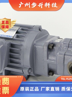 日本NOP同款台湾品质VNLP摆线泵TOPN320/330/340/350HBVB润滑油泵