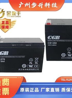 杭西奥电梯救援装置蓄电池松闸电源CGB武汉长光CB1250/1270/1240