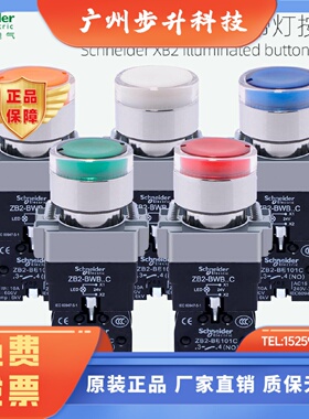 施耐德带灯按钮开关XB2BW33B1C绿色常开24V自复位XB2BW34M1C 220V