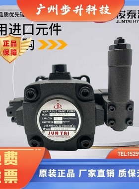 JUNTAI俊泰液压HVPF-30-D HVP-40F/A3 30F/A1 A2中压变量叶片油泵