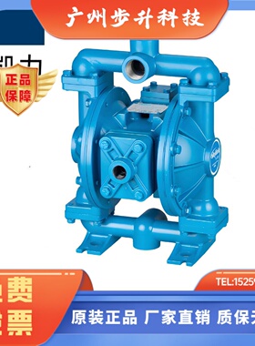 SKYLINK斯凯力LS25K SK PS 08 15 40 50 80AA-AA-SP-SP气动隔膜泵