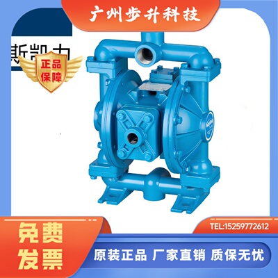 SKYLINK斯凯力LS25K SK PS 08 15 40 50 80AA-AA-SP-SP气动隔膜泵