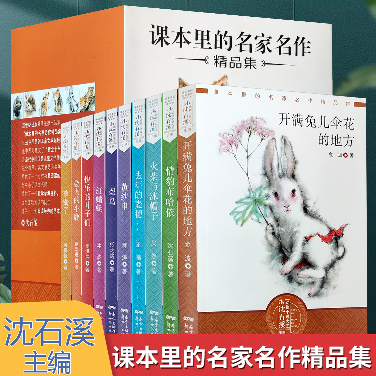 课本里的名家名作精品集10册会飞的小鹿红蜻蜓火柴与冰帽子快乐的叶子们等沈石溪主编动物小说儿童文学书
