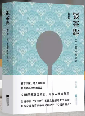 银茶匙 中勘助著日本文学自传体小说 对故乡童年眷恋与怀念夏目漱石周作人推崇备至文学儿童心理学书籍