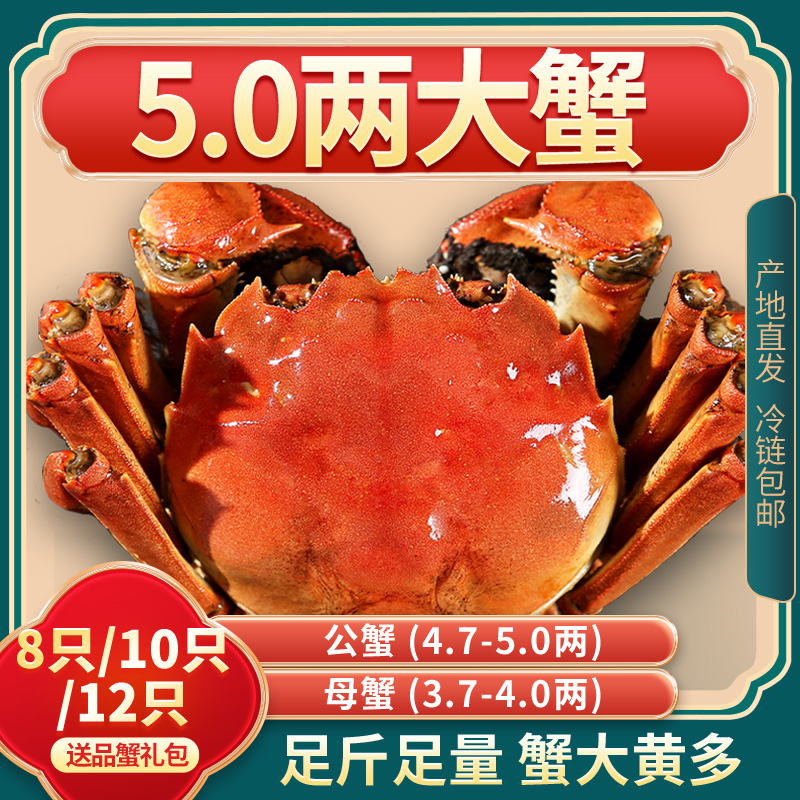 活蟹8/10/12只【特大公母蟹】