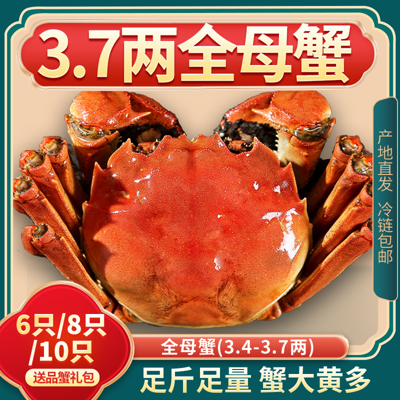 活蟹【特大全母蟹】礼盒装