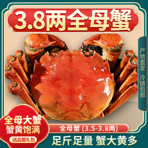 活蟹6/8只【3.8两母蟹】礼盒