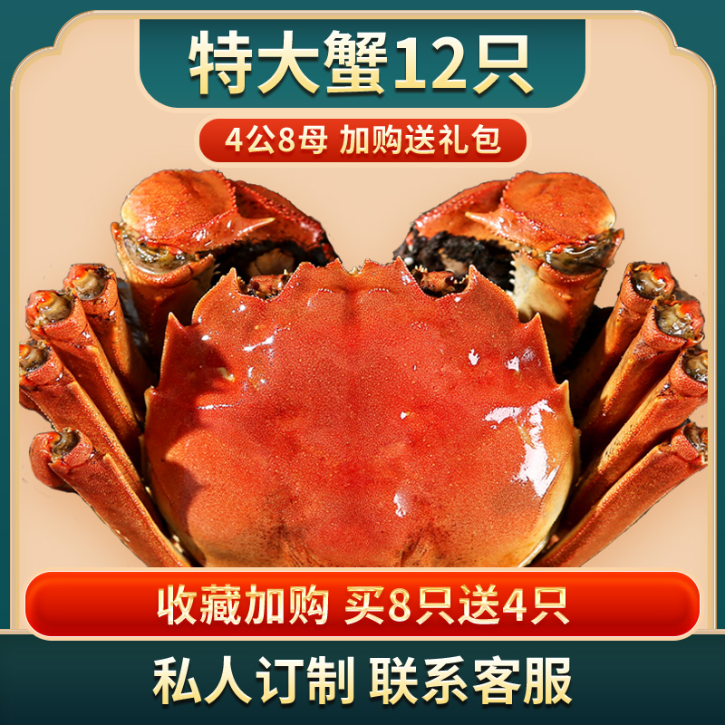 活蟹12只【特大公母大蟹】