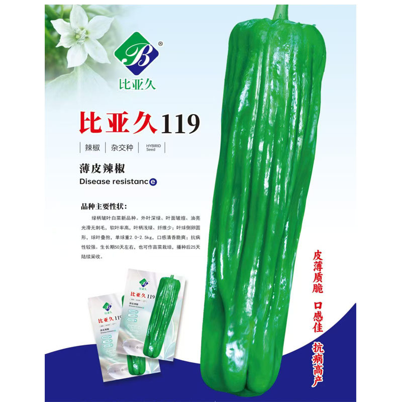 春秋季播种长果形泡椒辣椒种子