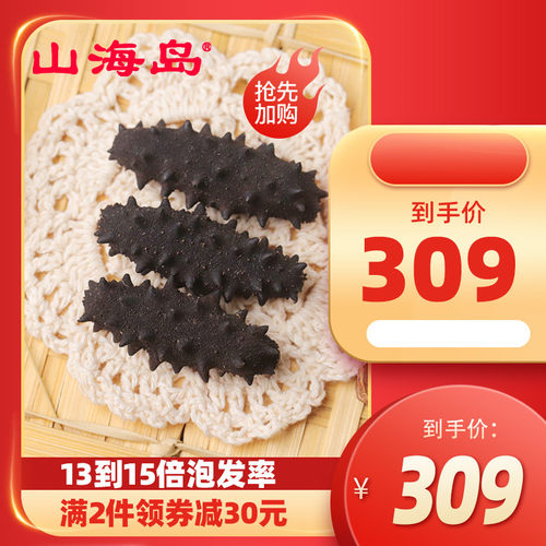 山海岛大连淡干海参干货50克深海渗 辽刺参礼盒非即食海参 - 封面