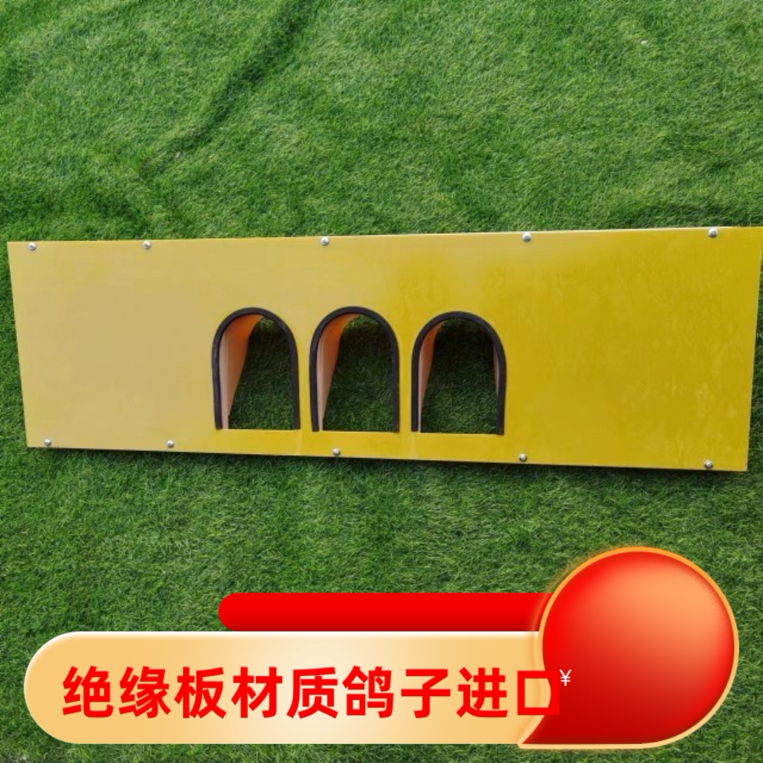 鸽子进口绝缘板材质进笼口信鸽赛鸽专用进口欧式进口