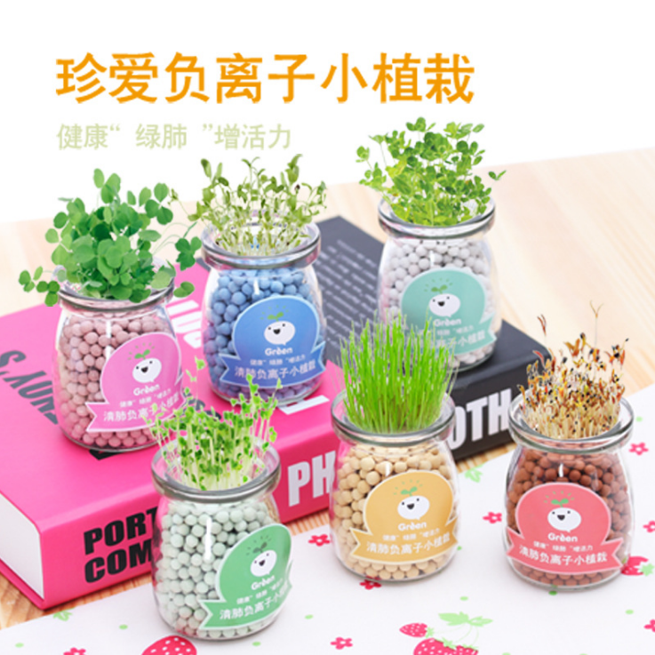 Ë®ÅàÅèÔÔ´´Òâ°ì¹«ÊÒDIY¸ºÀë×ÓСÅè¾° ×ÀÃæÃÔÄã¿É°®Ð¡²Ý΢¾°¹ÛÖ²Îï