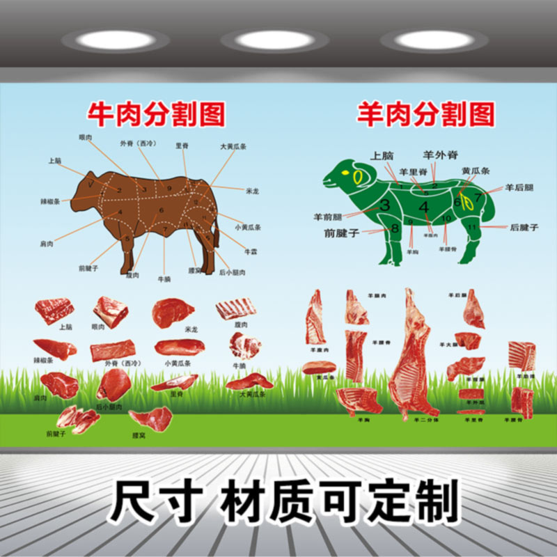 牛肉猪肉羊肉分割部位图贴纸海报