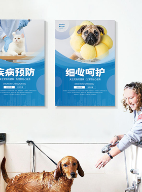 宠物医院制度海报诊所装饰画