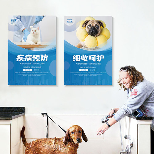 宠物医院制度海报诊所装饰画