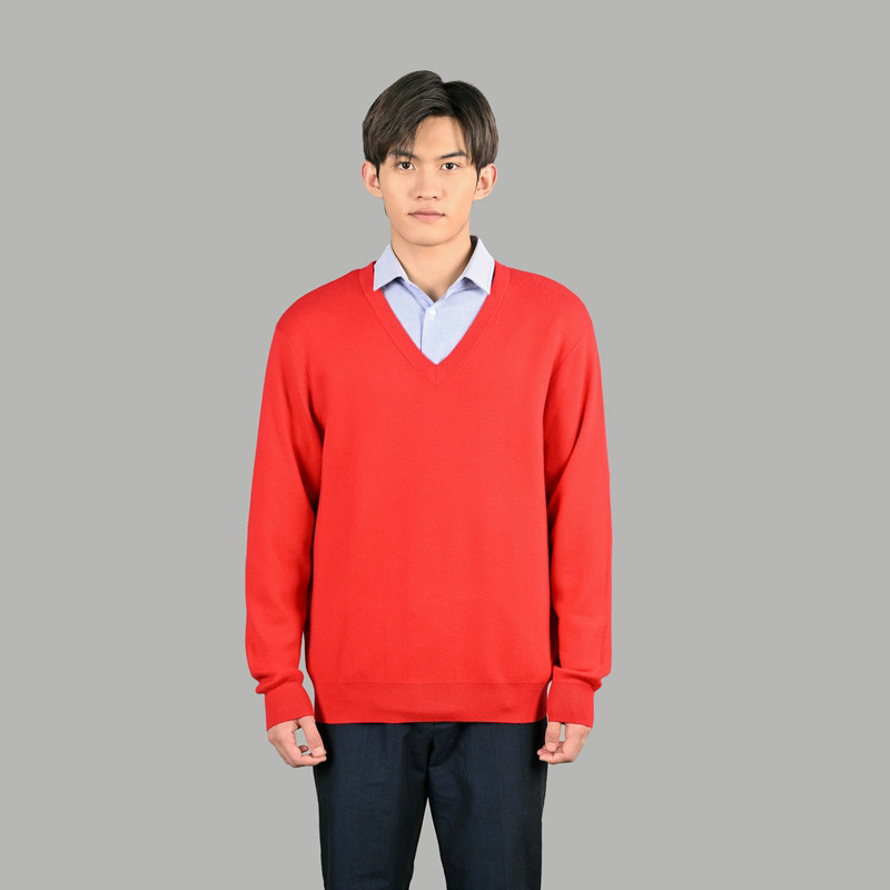 SNOW LOTUS SINCE 1965/雪莲精纺男士V领羊绒衫套衫商务休闲男士,男装,羊绒套衫,淘宝优惠券,粉丝福利购,淘宝优惠卷