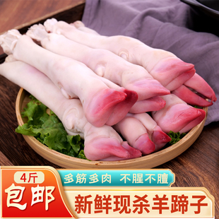 新鲜生羊蹄冷冻羊腿现杀清真羊脚纯山羊带筋羊蹄带皮羊腿羊脚4斤