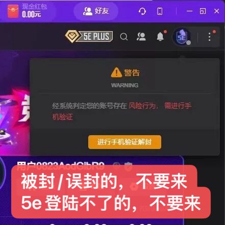 5e《各种问题》解封/换绑/扫脸只要能正常登录(作弊封禁别来)csgo - 实物图