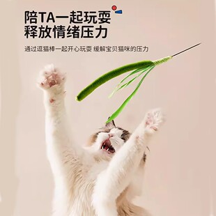 狗尾巴逗猫棒弹力网铃铛流苏网管小飞虫赛级木柄羽毛可伸缩逗猫棒