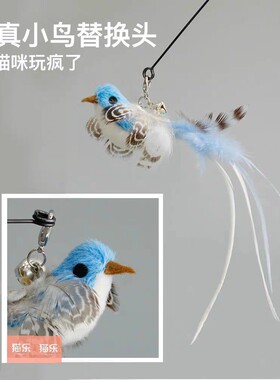 仿真小鸟猫咪逗猫棒替换头
