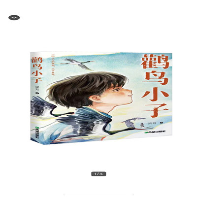 鹳鸟小子 梁芳著 阳泉市娘子关镇少年的成长历程