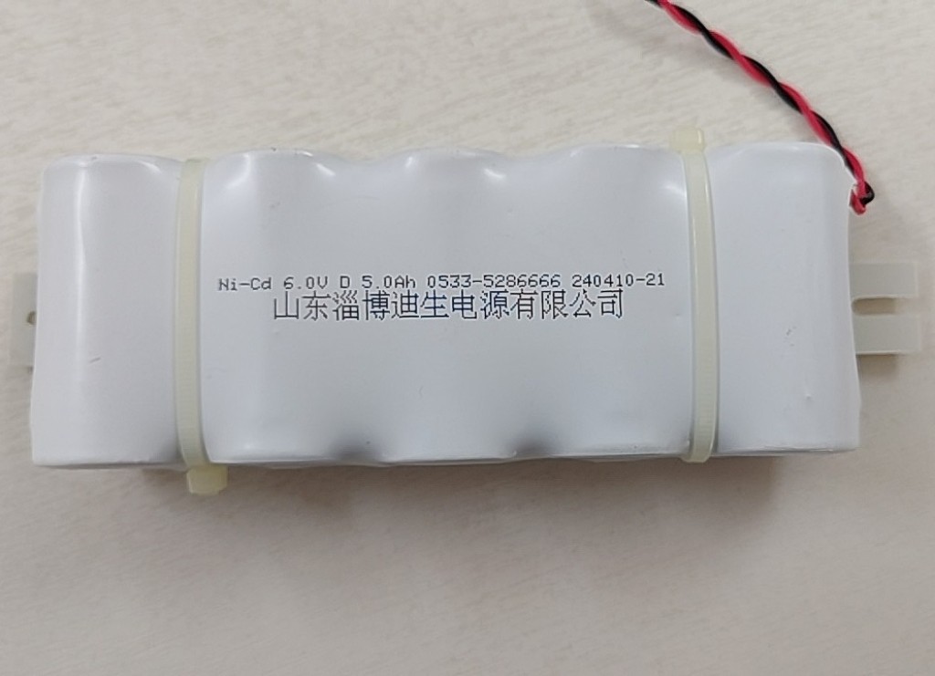 淄博迪生Ni-Cd 6.0V D 5.0Ah应急灯1号充电电池组
