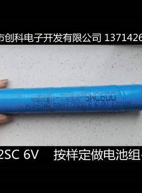电磁流量计充电电池 BNC600 HIGHSTAR 5GNY1/2SC 0.6 6.0V 电池组