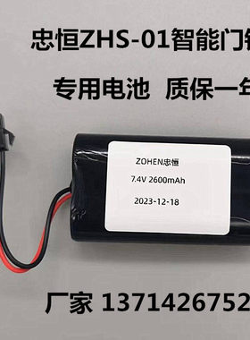 忠恒ZNS-01电池智能锁充电电池
