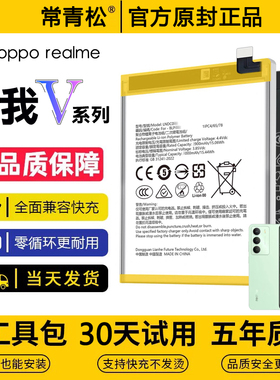 适用Realme真我V70手机V60pro电池V50s/V30t原装v23i/V11S/V13/15