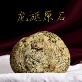 龙涎香灰褐色洞眼斑中东料抹香鲸白龙涎阿拉伯龙胆 天然保真原石