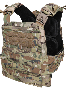 战狼CP风格AVS战术背心 全地形户外越野特种兵PLATE CARRIER 背心