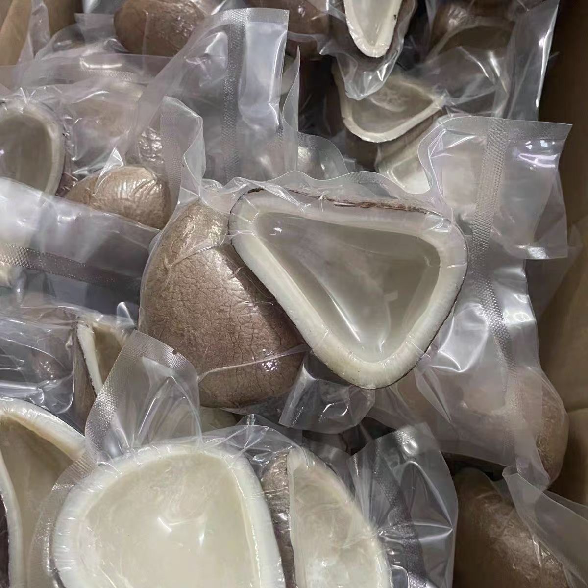 印度大椰皇子切半验果无坏果 海椰王椰子肉煲汤火锅炖鸡老椰子