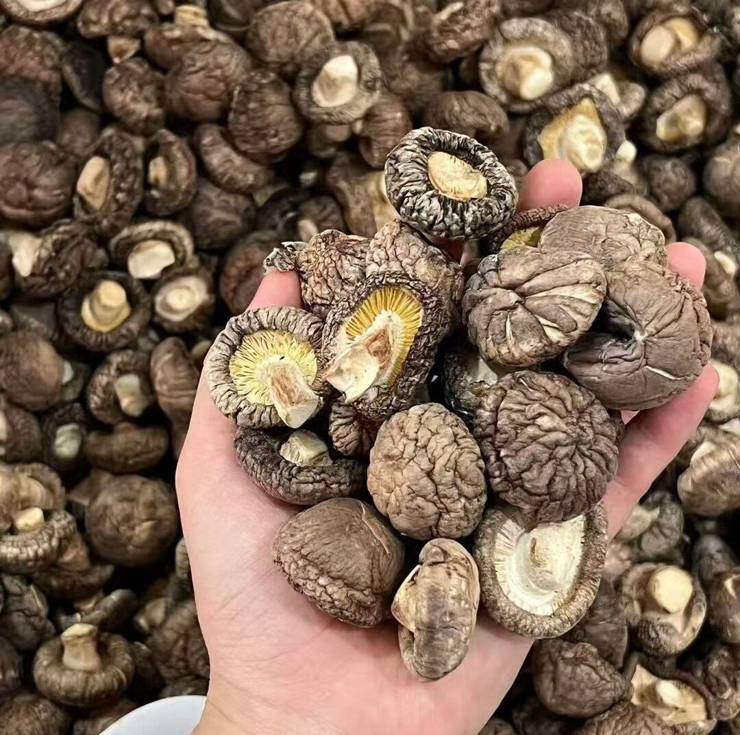 新货干香菇农家小香菇干货剪脚香菇冬蘑菇500g食用菌东北特产