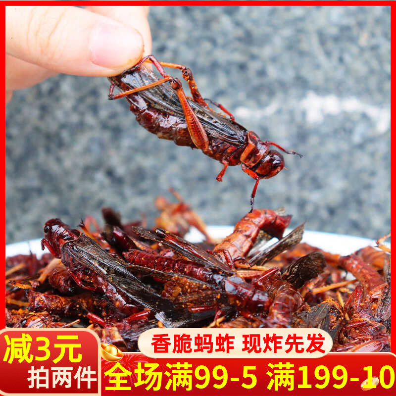 蚂蚱即新鲜油炸食烧烤昆虫可食用蚂蚱蝗虫子肉香酥下酒菜零食小吃