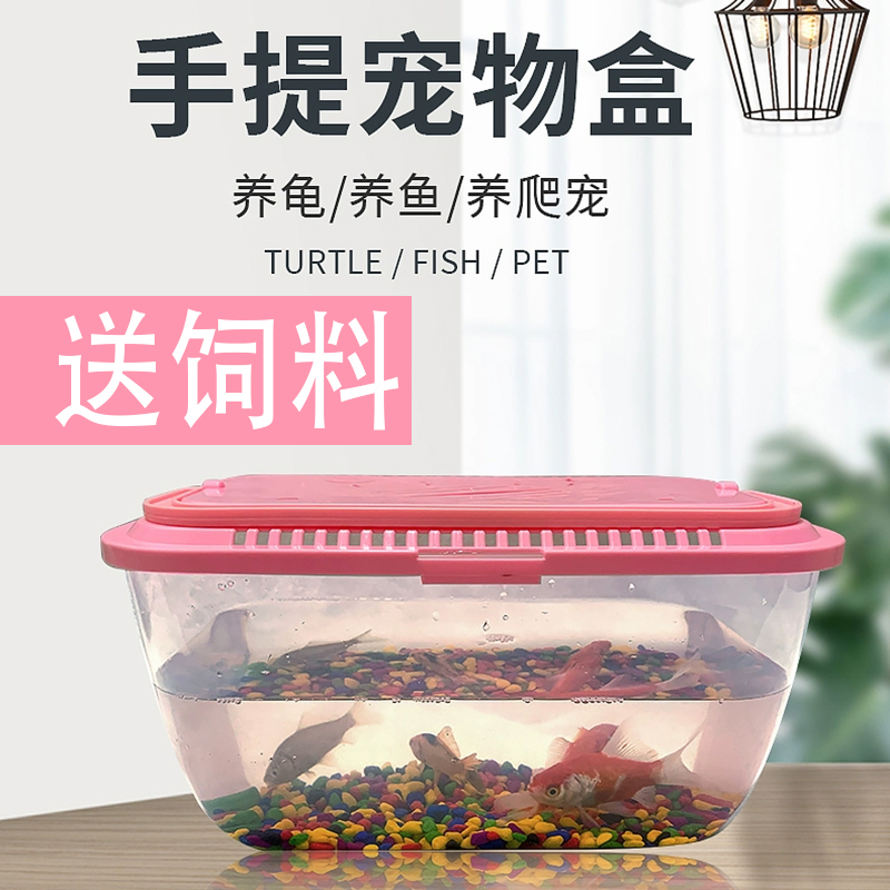 鱼缸手提带盖金鱼桌面爬虫养龟盒透明小型宠物饲养运输盒小乌龟缸