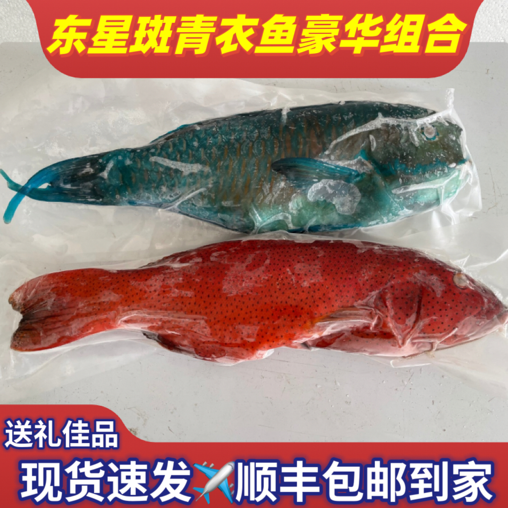 海南深海东星斑青衣鱼组合石斑鱼鲜活真空冷冻海鲜水产空运包邮