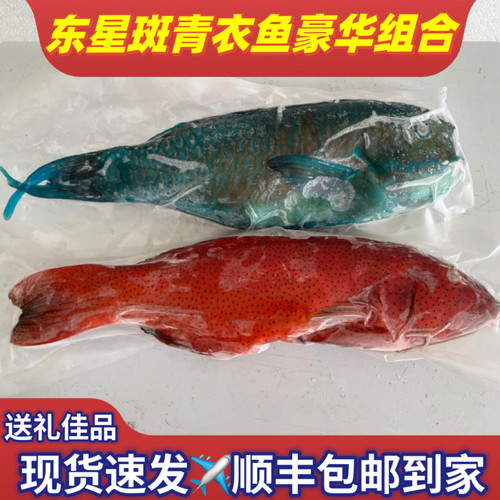 海南深海东星斑青衣鱼组合石斑鱼鲜活真空冷冻海鲜水产空运包邮