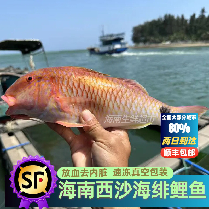海南三沙西沙海绯鲤鱼海鱼新鲜捕捞海鲜鲜活真空包装冷冻顺丰包邮