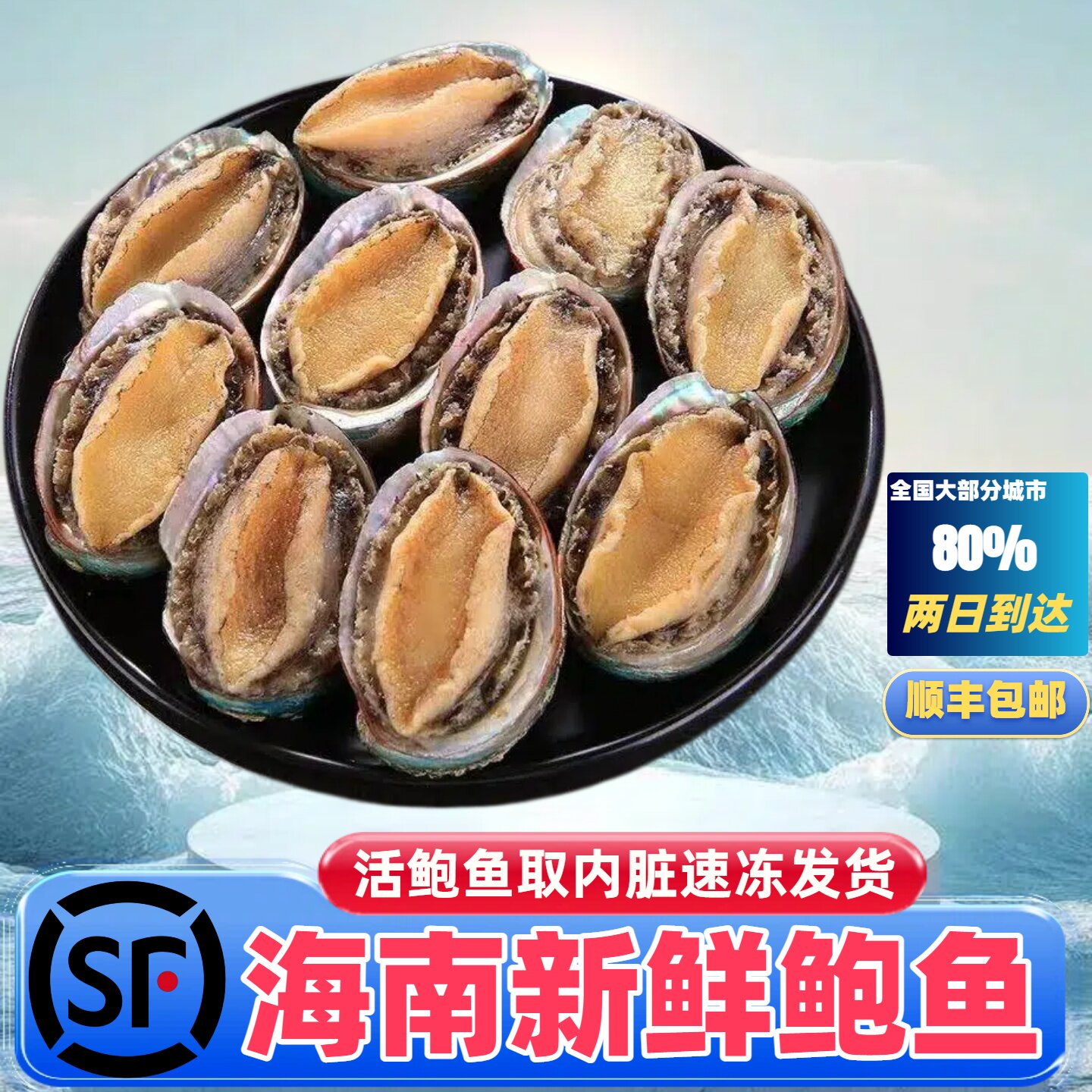 新鲜鲍鱼鲜活速冻去内脏海鲜水产中号带壳鲍鱼超大鲍鱼顺丰空运