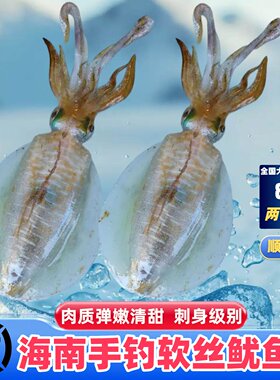 海南新鲜海钓软丝鱿鱼手钓鱿鱼软丝鱿鱼海鲜速冻大尾鱿鱼顺丰包邮