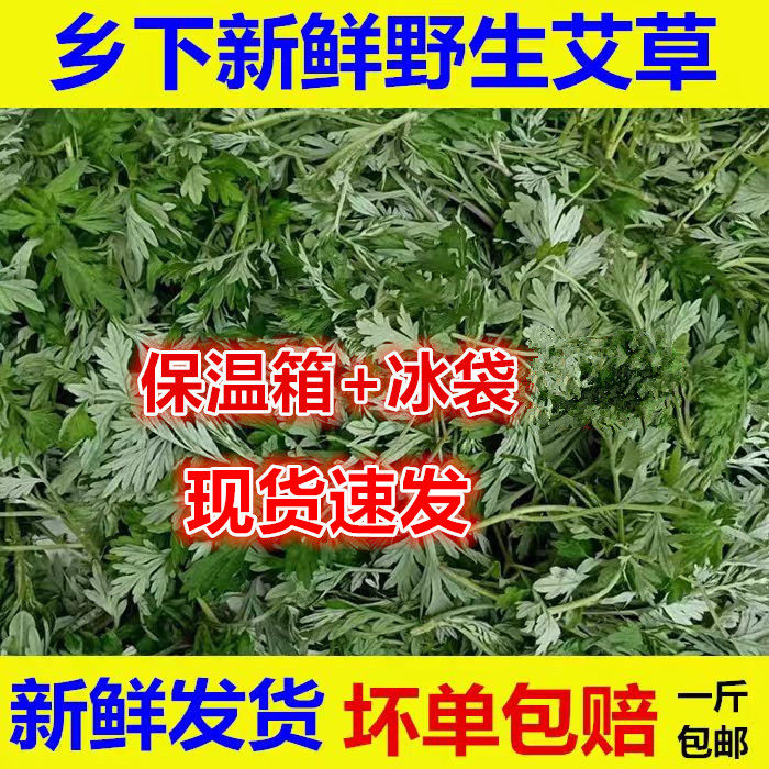 新鲜艾草野生艾叶现摘现发食用清明草艾蒿艾米果菜粑粑青团嫩田艾