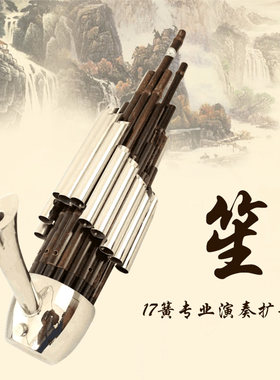 厂家直销专业精致17簧扩音笙DCFGE调笙