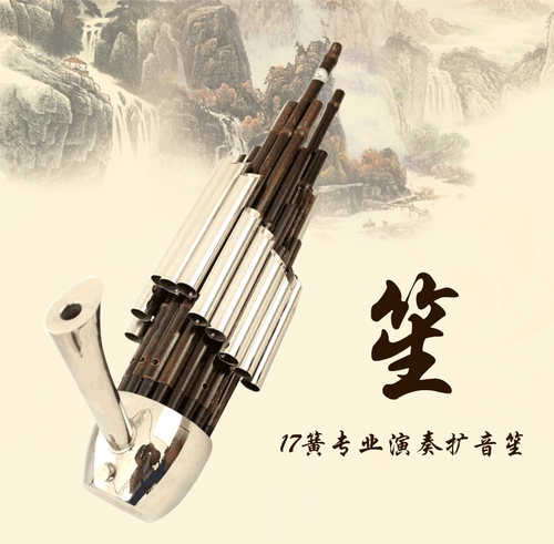 厂家直销专业精致17簧扩音笙DCFGE调笙