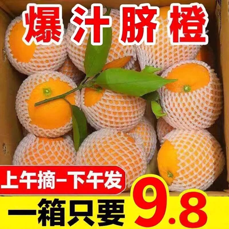 现摘脐橙橙子新鲜水果当季纽荷尔手剥橙非赣南冰糖甜脐橙整箱包邮