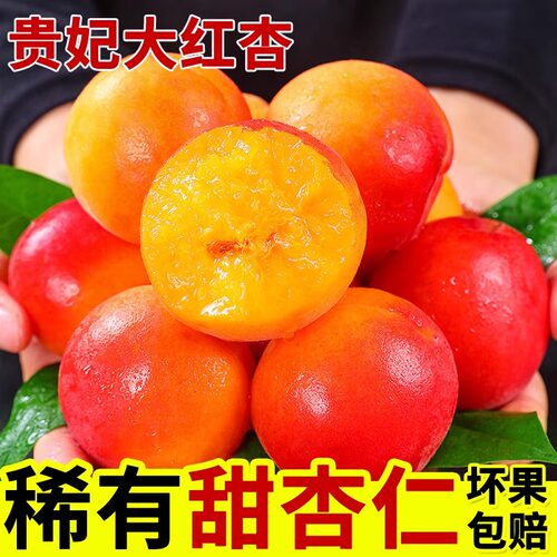 现摘陕西贵妃胭脂红杏大黄杏子大果当季新鲜孕妇水果甜自然熟整箱